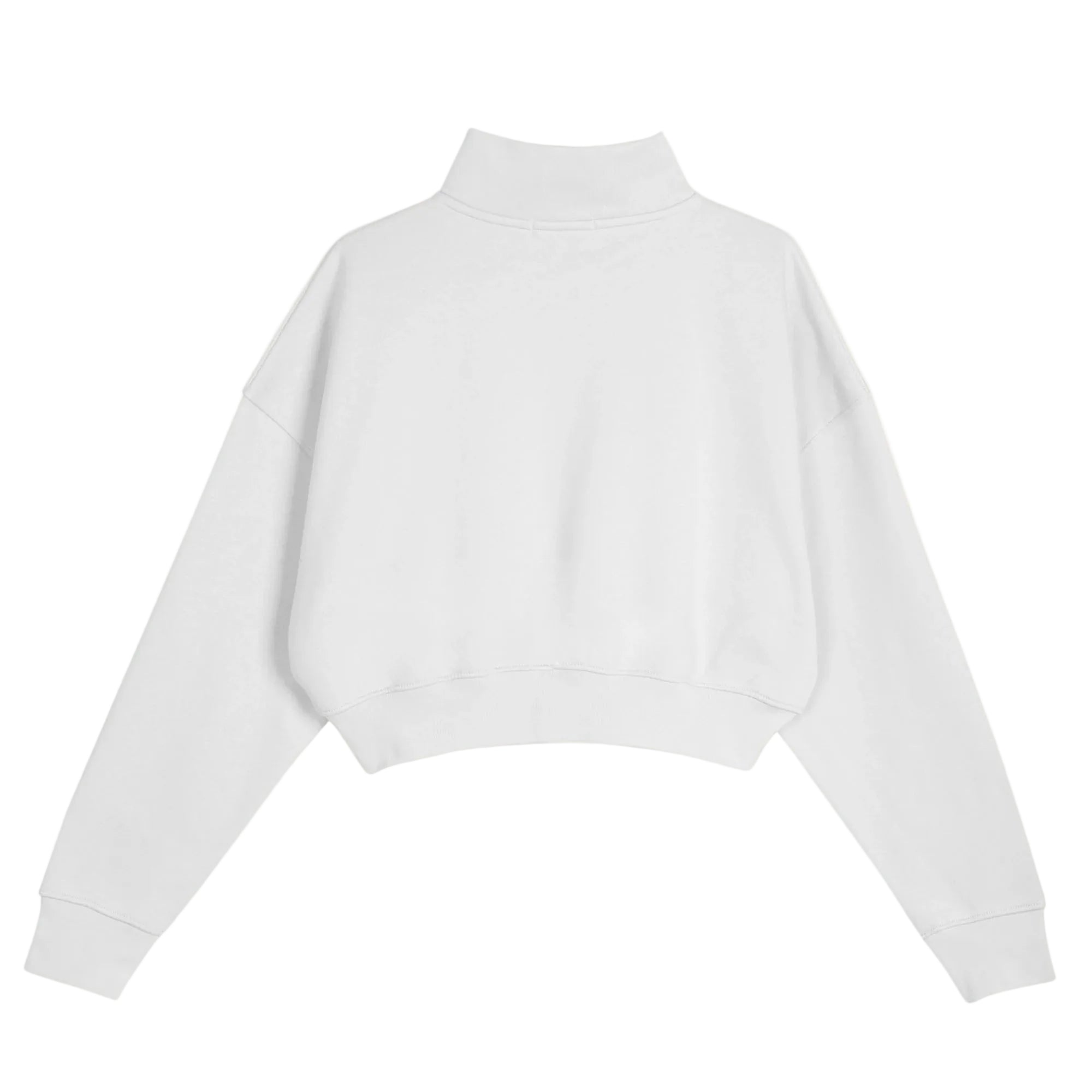 Basic Fermuarlı Crop Sweatshirt