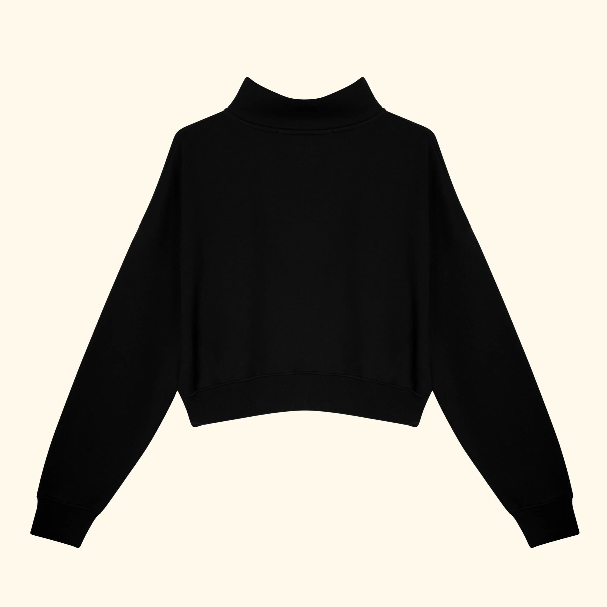 Basic Fermuarlı Crop Sweatshirt